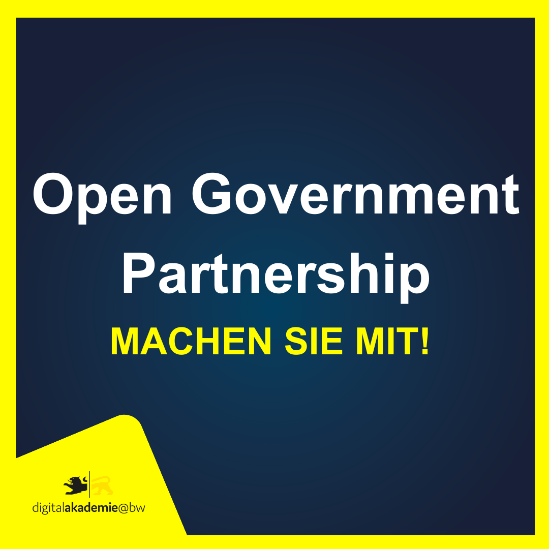 Open Government Partnership